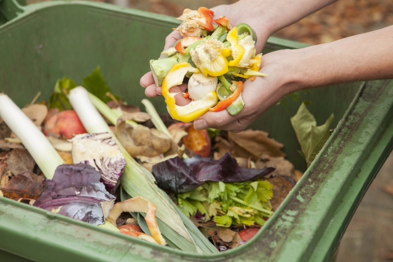 The futurre of waste management